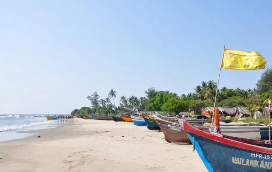 WFH sees big city professionals realise the Goa dream — buy/rent property, move to the beach